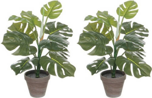 Mica Decorations 2x Groene Monstera/gatenplant Kunstplant 48 Cm In Grijze Pot - Kunstplanten/nepplanten 2 Stuks