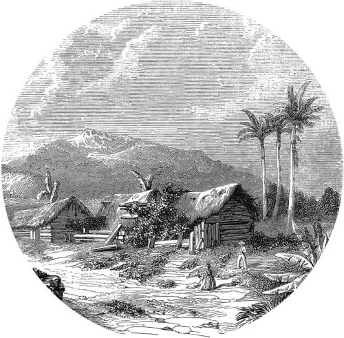 WallArt Behangcirkel Landscape of Guadeloupe 142,5 cm