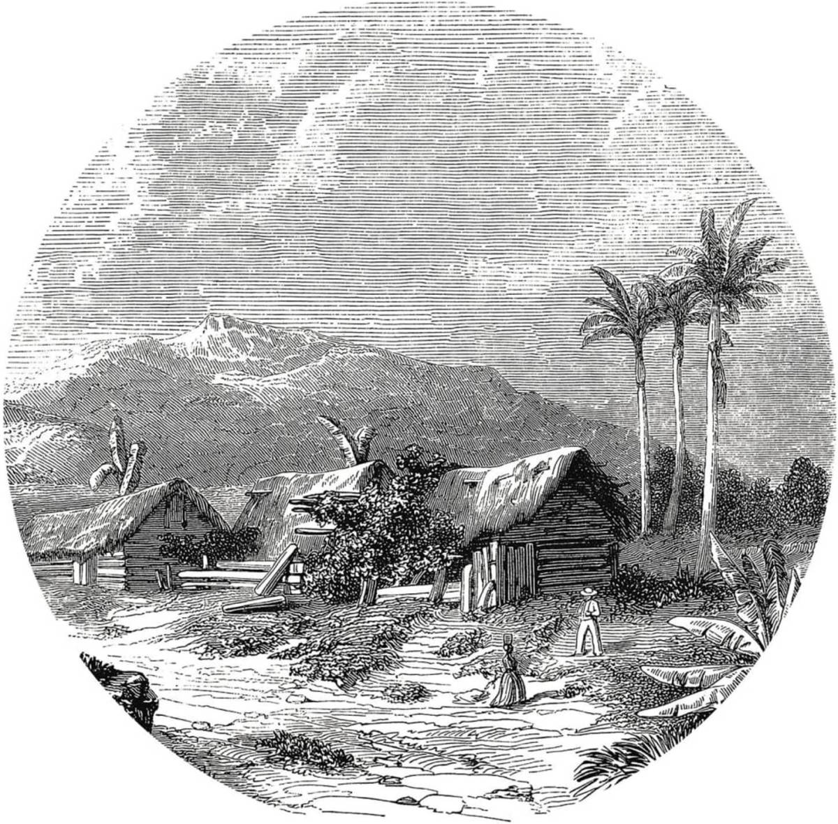WallArt Behangcirkel Landscape of Guadeloupe 142,5 cm