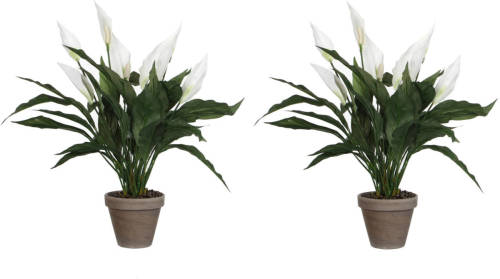 Mica Decorations 2x Stuks Spathiphyllum Lepelplant Kunstplanten Wit In Keramieken Pot H50 X D40 Cm - Kunstplanten