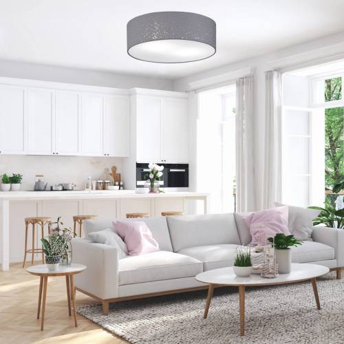 Fischer & Honsel Plafondlamp Thor grijs