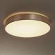 Hufnagel Aurelia - dimbare LED plafondlamp