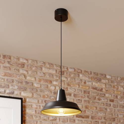 EULUNA Hanglamp Class, zwart/goud