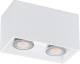 Arcchio 2-vlammig Opbouw-downlight Carson in wit