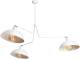 EULUNA Hanglamp 1036, 3-lamps, wit