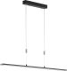 Fischer & Honsel LED hanglamp Metz TW, CCT, lengte 120 cm, zwart