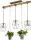 Trio Lighting Hanglamp Plant, 3-lamps met glas voor decoratie