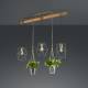 Trio Lighting Hanglamp Plant, 3-lamps met glas voor decoratie