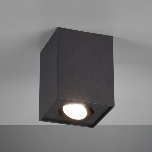 Trio Lighting Plafondlamp Biscuit, 1-lamp, zwart