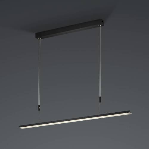 BANKAMP L-lightLINE CCT VerticalDim ZigBee zwart