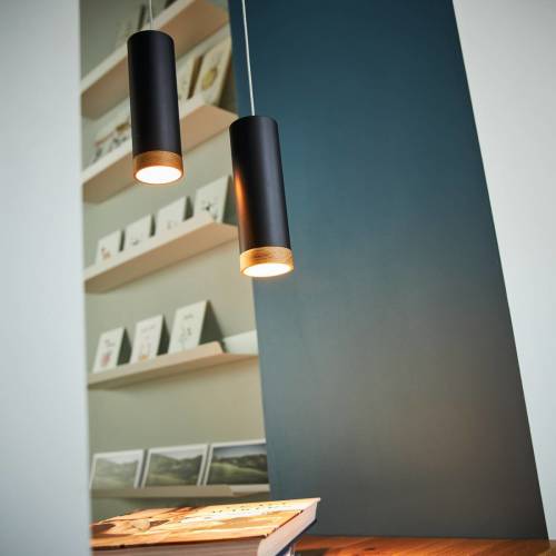 Domus LED hanglamp PHEB, zwart/eiken