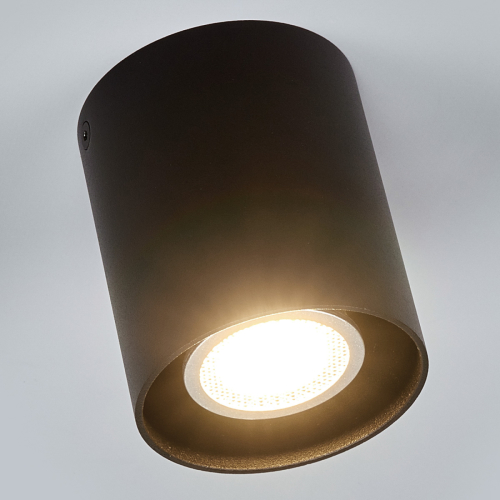 Arcchio Zwarte plafondlamp Carson