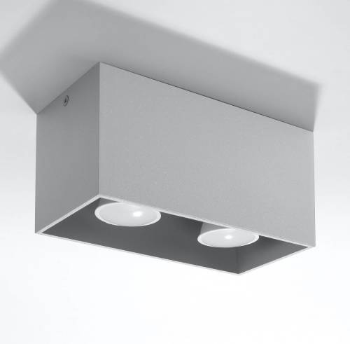 EULUNA Plafondlamp Ara Maxi van aluminium 2-lamps grijs