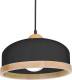 EULUNA Hanglamp Studio met houtdecor 1-lamp zwart