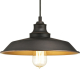 Westinghouse hanglamp Iron Hill, zwart, 1-lamps