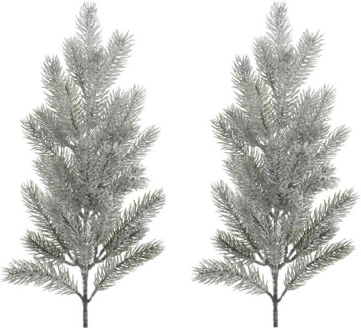 Bellatio Decorations 2x Stuks Kersttakken/dennentakken 23 Cm Groen Met Sneeuw Kerstversiering - Kunstplanten