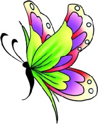 Nature Push Planet Vlinder Glitter Tattoo Groen/paars - Verkleed Tatoeages