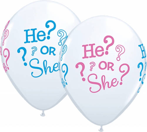 Folat Geboorte Ballonnen He Or She 25 Stuks - Ballonnen