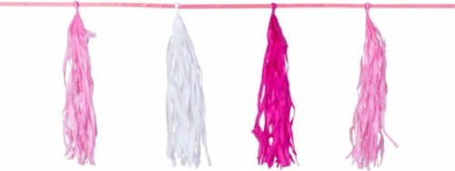 Folat Kwast Tassel Feestslingers Roze 3 Meter - Feestslingers