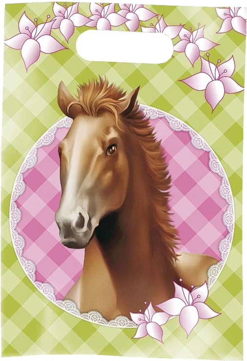 Haza Original Feestzakjes Paarden 6 Stuks