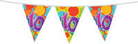 Haza Original Vlaggenlijn Multicolor 10 Jaar 10 Meter