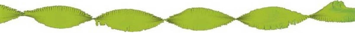 Haza Original Feestslinger Crêpepapier 6 M Lichtgroen
