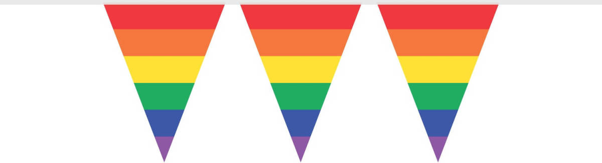 Haza Original Vlaggenlijn Regenboog 10 Meter