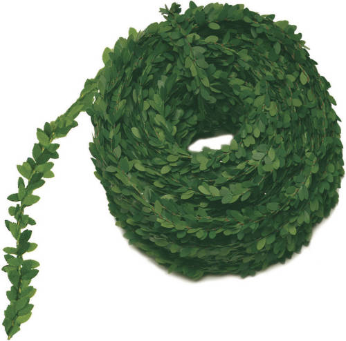 Rayher Hobby Buxus Guirlande Slinger 30 Meter - Feestslingers