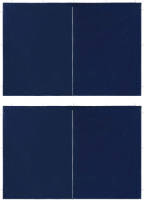 VidaXL Tentwanden Met Ritssluiting Pe Blauw 2 St