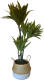 CUHOC Levensechte Kunst Dracaena Lemon Lime 120 Cm Met Pot