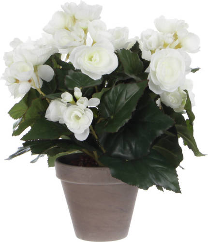 Mica Decorations Witte Begonia Kunstplant Met Bloemen 30 Cm In Grijze Pot - Kunstplanten/nepplanten - Voor Binnen