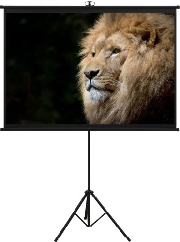 VidaXL Projectiescherm Met Statief 1:1 57''