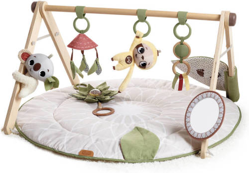 Tiny Love babygym Boho Chic Gymini