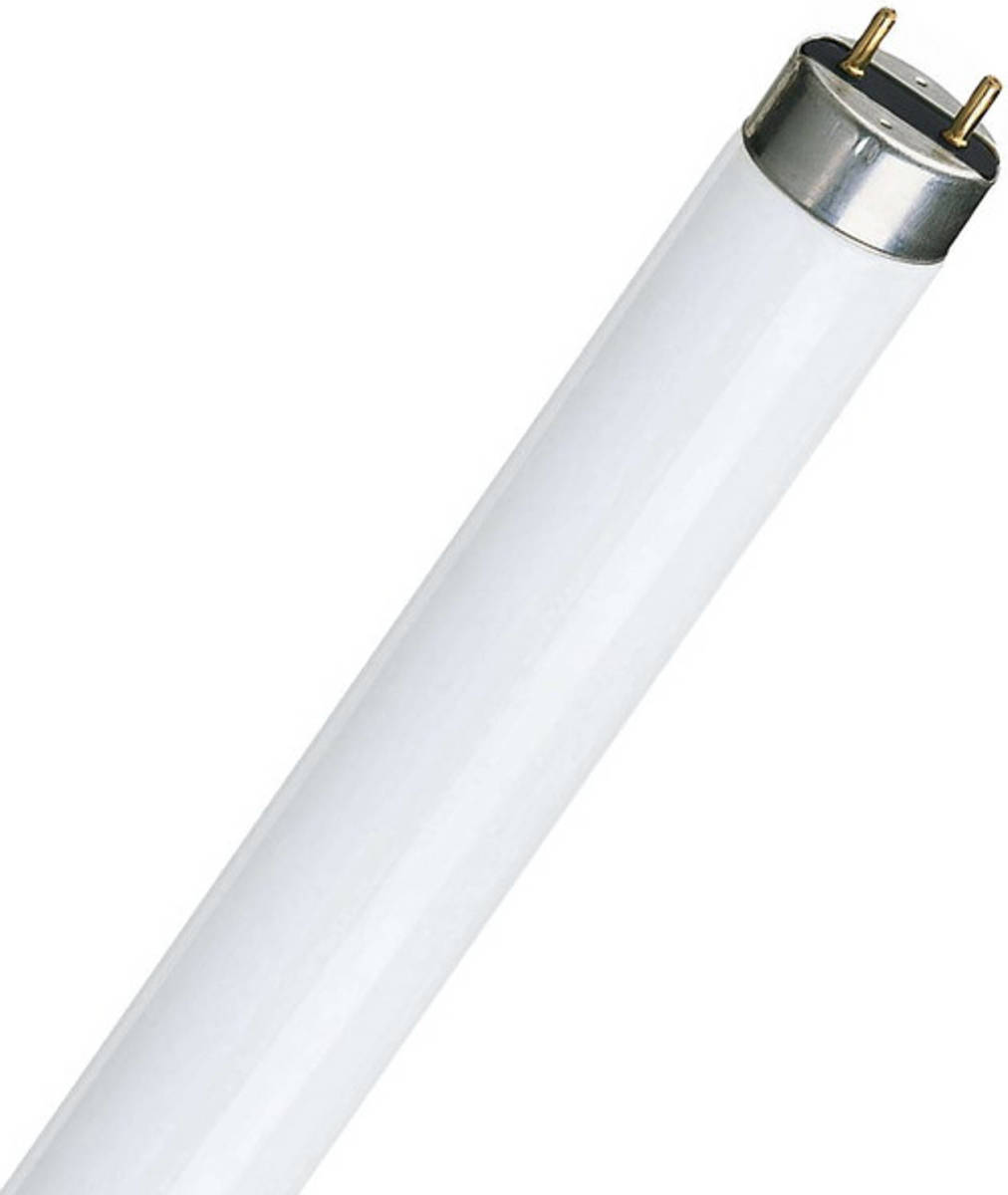 Philips Master Tl-d 18w/840 59cm