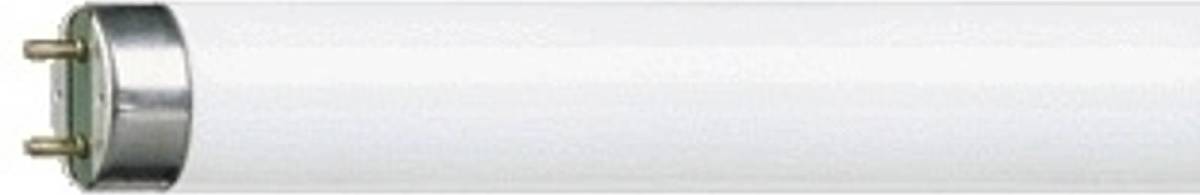 Philips Master Tl-d 18w/865 59cm