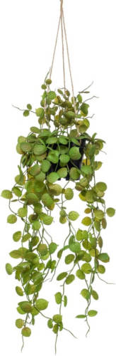 Emerald Kunstplant Hangend In Pot Lantaarnplant 50 Cm