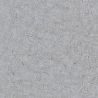 Vintage Deluxe Behang Stucco Crackle metallic grijs