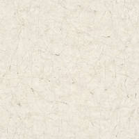 Vintage Deluxe Behang Stucco Crackle grijs en wit