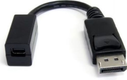 Startech .com 15 cm DisplayPort naar Mini DisplayPort Videokabel Adapter M/F