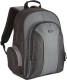 Targus 15.4 - 16 inch / 39.1 - 40.6cm Essential Laptop Backpack