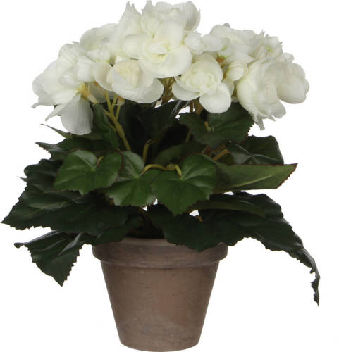 Mica Decorations Witte Begonia Kunstplant 25 Cm In Grijze Pot - Kunstplanten