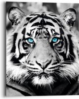 Reinders! Artprint op hout Blue Eyed Tiger (1 stuk)