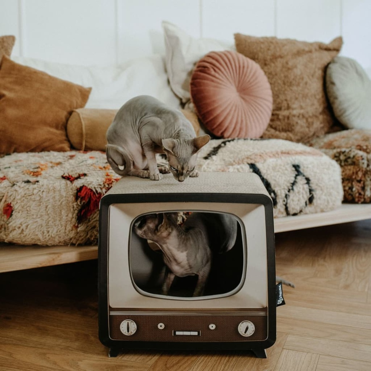 District 70 Telly kartonnen krabmeubel Retro TV