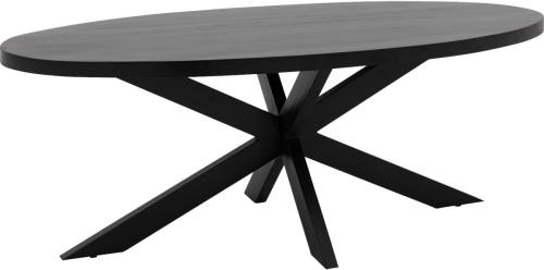 Goossens Eettafel Axilon, Ovaal 210 x 100 cm