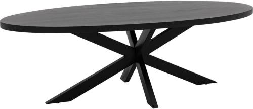 Goossens Eettafel Axilon, Ovaal 240 x 110 cm