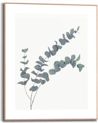 Reinders! Artprint met lijst Eucalyptus (1 stuk)