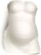 Gipsafdruk Baby Art Belly Kit