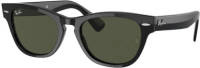 Ray-Ban zonnebril 0RB2201 zwart