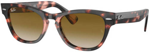 Ray-Ban zonnebril 0RB2201 met tortoise roze/bruin