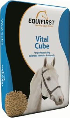 EquiFirst Vital Cube 20 kg